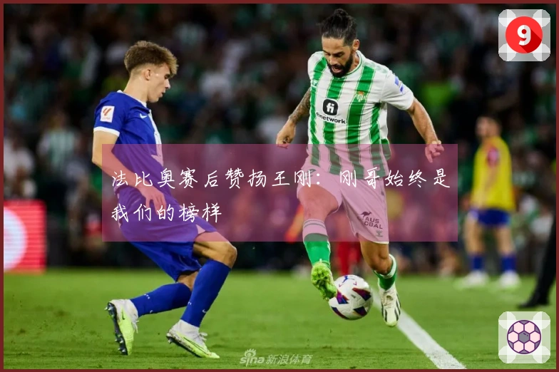 法比奥赛后赞扬王刚：刚哥始终是我们的榜样