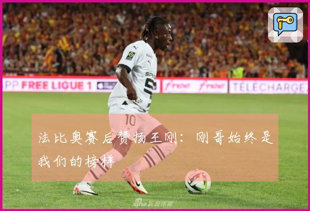 法比奥赛后赞扬王刚：刚哥始终是我们的榜样